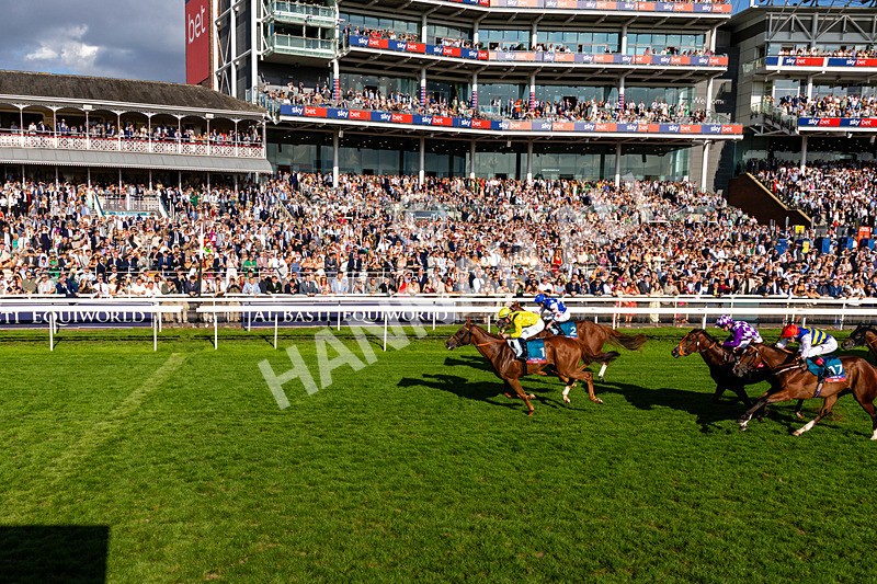 220826-Race 7-Raammee-0848 - Race 7 17.20pm Sky Bet Dav Reid Finale Handicap