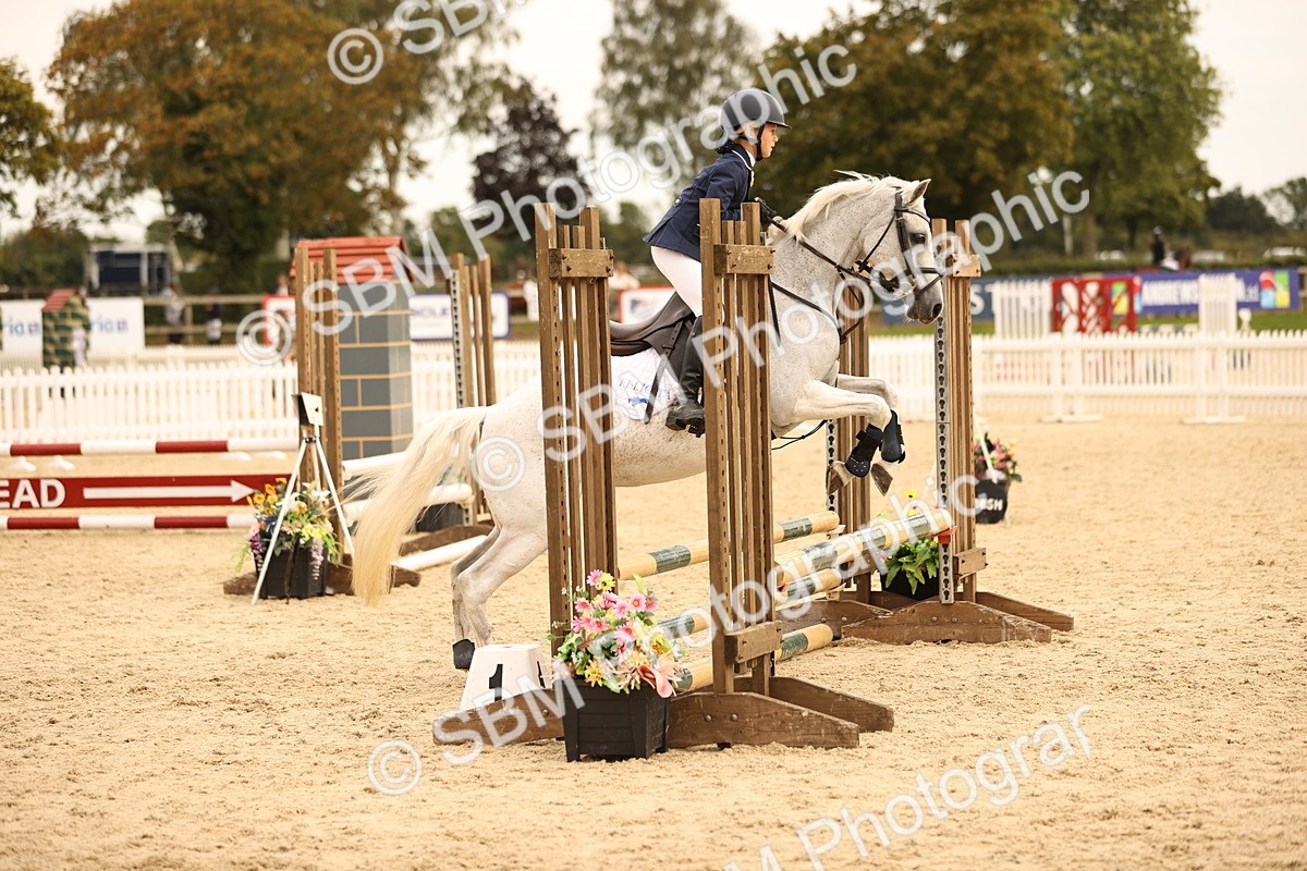 SBM_72544 - J14 - Junior Pony 65cm Championship