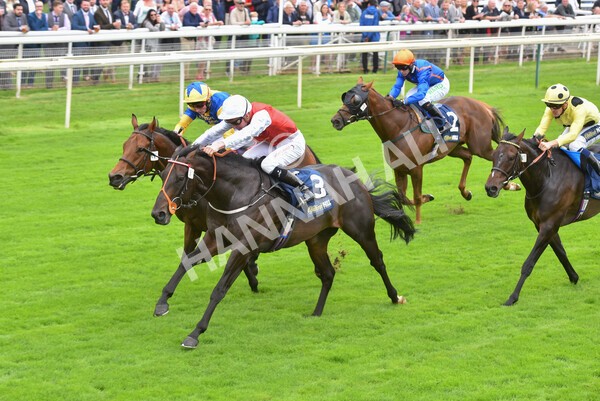 yr24092021r2-28 - Race 2 2.05pm William Hill Extra Places Races Stakes