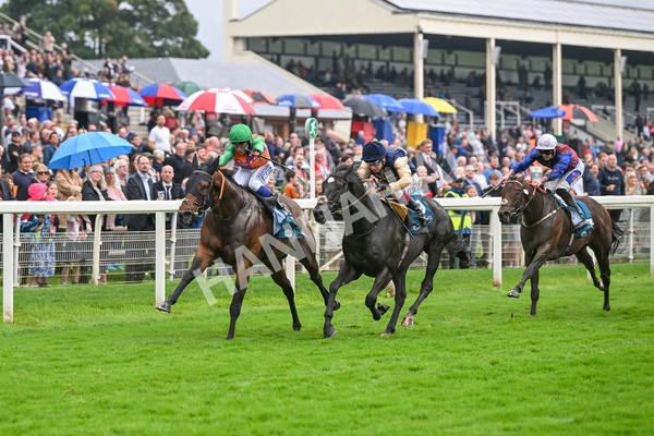 080924-Race 5-Quinault-9314 - Race 5 4.00pm Starman At Tally Ho Stud Garrowby Stakes