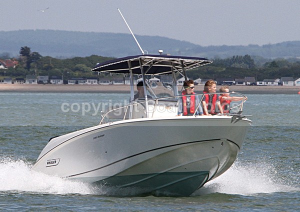 100620 BOSTON WHALER IMG_4139 - RIBs, Tenders, Dories, Dinghies