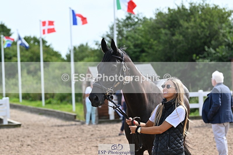 240717A-161638-03403 - Trot Up 4pm to 5pm