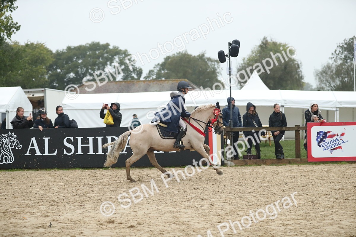 SBM_74356 - Supreme championship Junior Pony 70cm 75cm