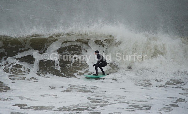 DSC_1686 - Cayton Bay - 11th April 2017