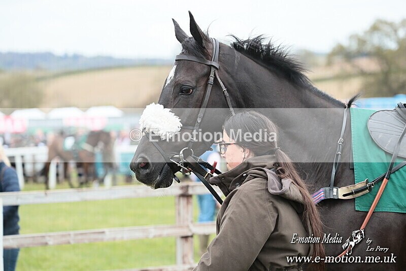 PtP 130425 211 - Edgecote Races 13/04/25