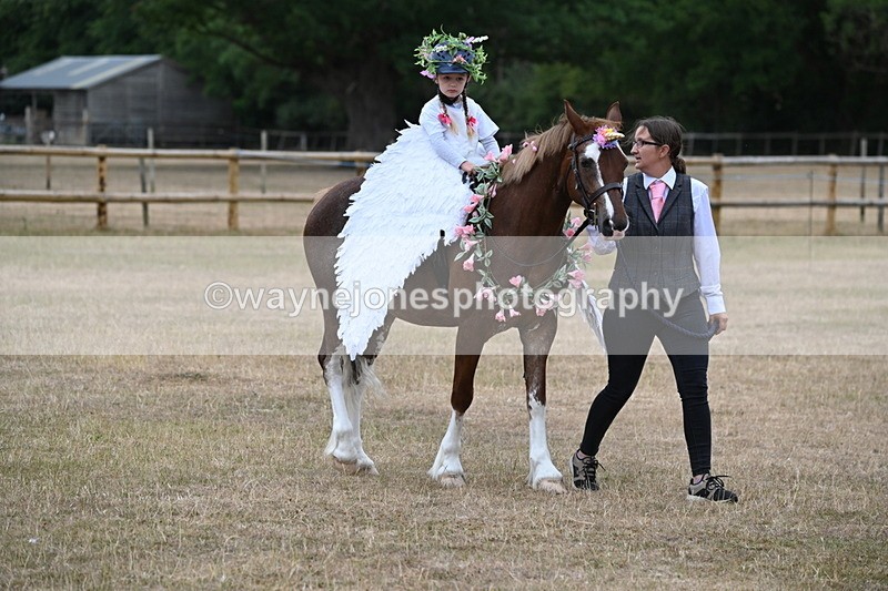 WJ6_8590 - Class 11 Fancy Dress