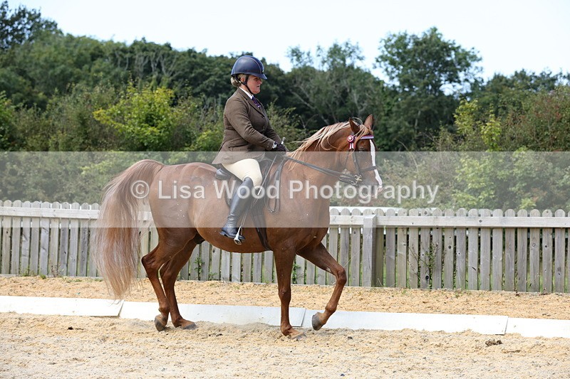 1X9A8340 - Class 13: Arab Ridden