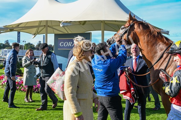 141023-Race 3-Montassib-8913 - Race 3 2.25pm Coral Sprint Trophy Handicap