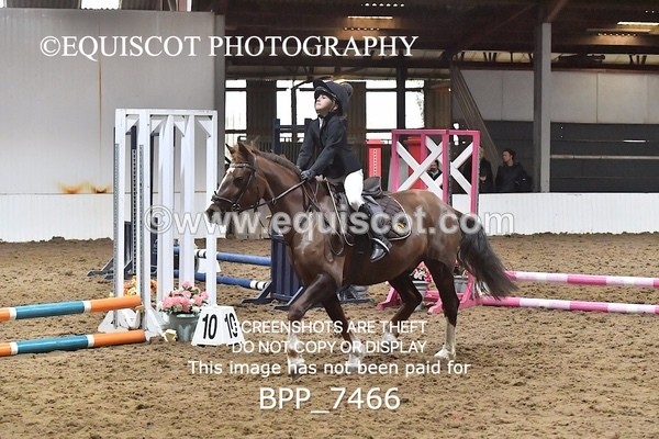 BPP_7466 - 40CM WORKING HUNTER