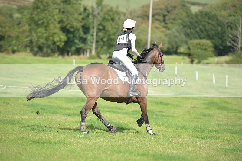 RAY_8916 - Class 2: Trekenning Open: Wall