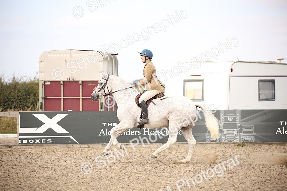 SBM_17344 - Class 410b - Working Veteran 90cm (20+)