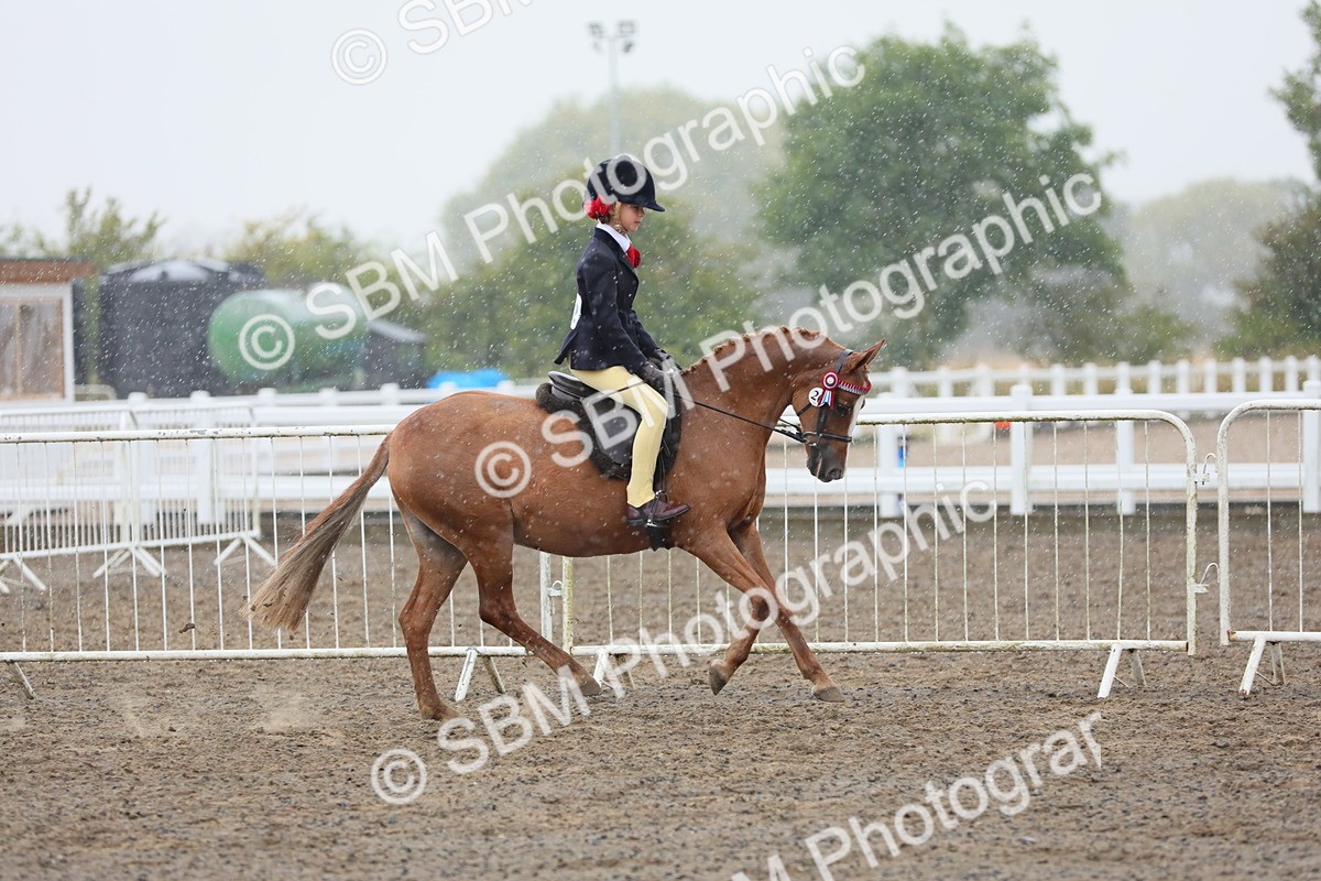 SBM_20569 - Class 804 - Ridden Veteran Pony
