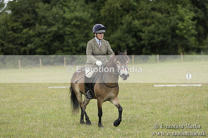 BVR160717-595 - Class 1 & 23a Dressage 16/07/17