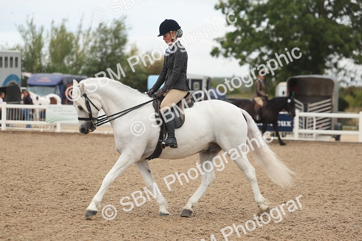 SBM_01908 - Class 14 - Ridden M&M Wildcard