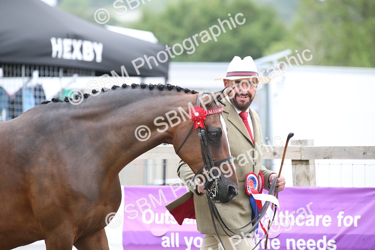 SBM_09726 - Ch 50 - Price Family Supreme In Hand