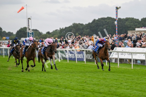 220824-Race 4-Content-7368 - Race 4 3.35pm Pertemps Network Yorkshire Oaks