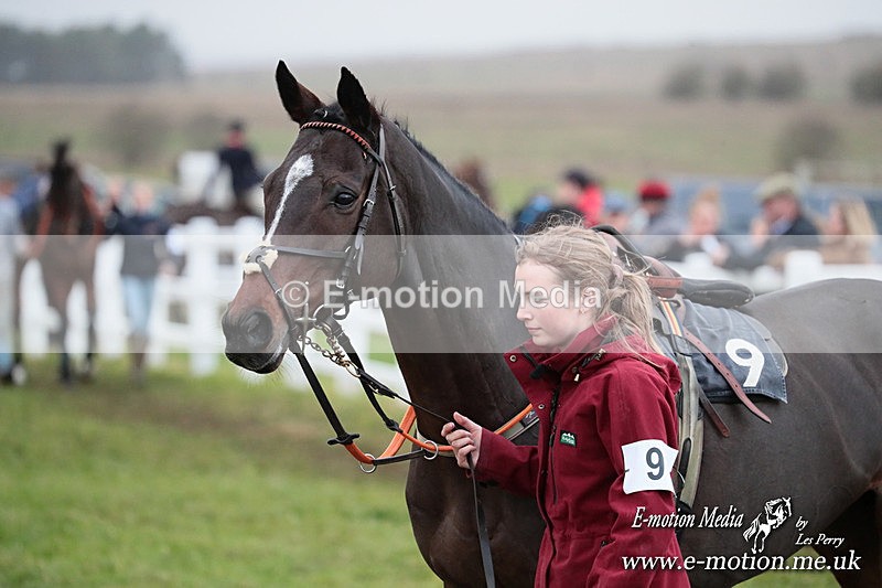 PtP 011224 1161 - Hursley Hambledon Point-to-Point Larkhill 01/12/24