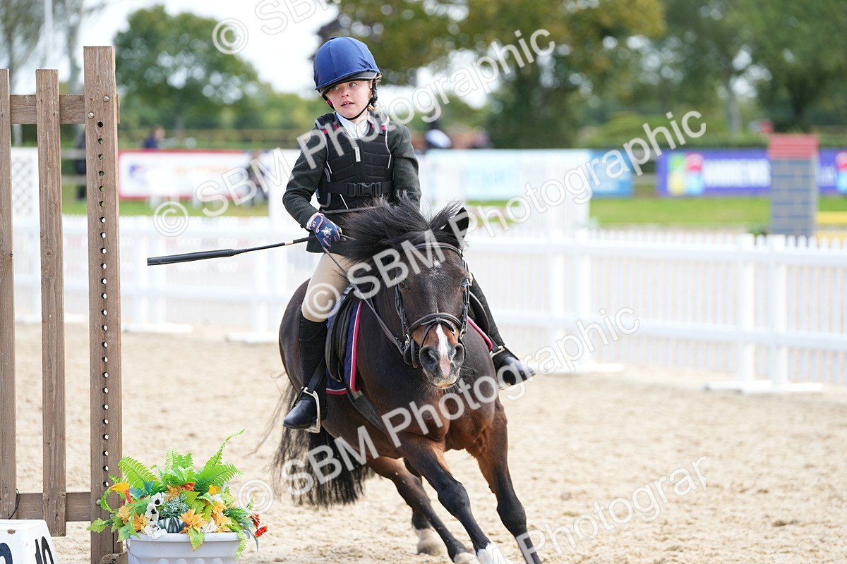 SBM_21336 - J49 - Open 50cm