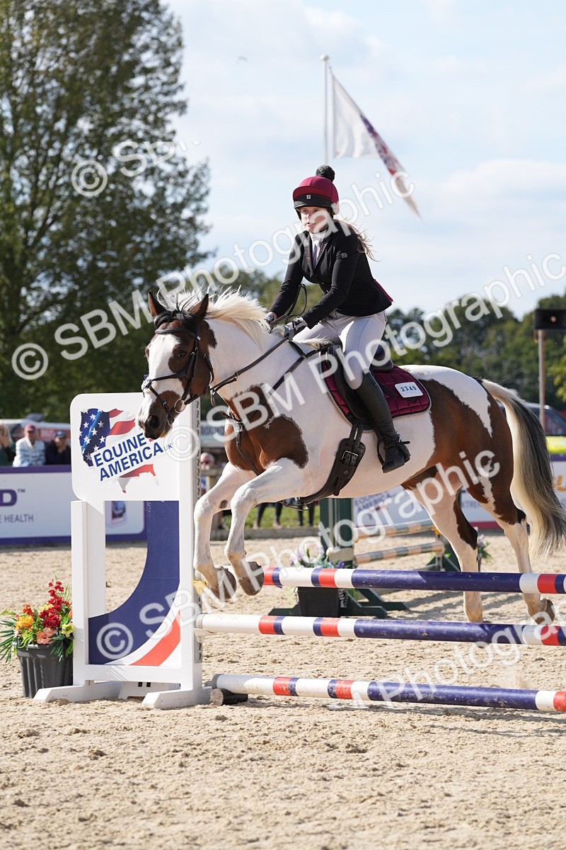SBM_48672 - J22 - Junior Horse 65cm Championship