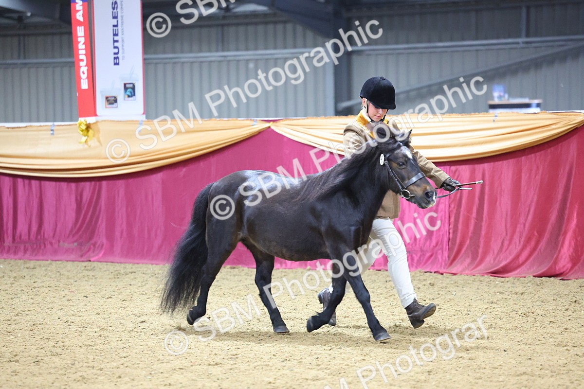 SBM_19615 - Class 901 - Supreme Final - IH Diamond