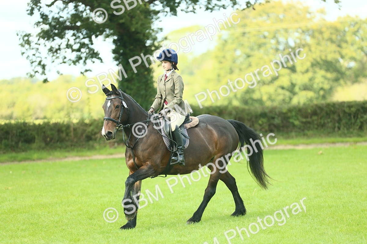 SBM_42046 - S29 - Novice & Newcomers Working Hunter Pony
