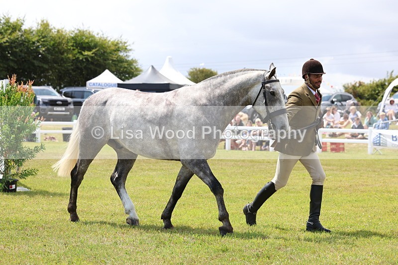 3E7A2196 - Class 10: Open Cob