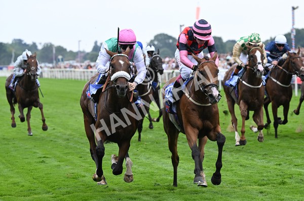 230825-040 Tarriance - Race 2 2.25pm Sky Bet Melrose Handicap