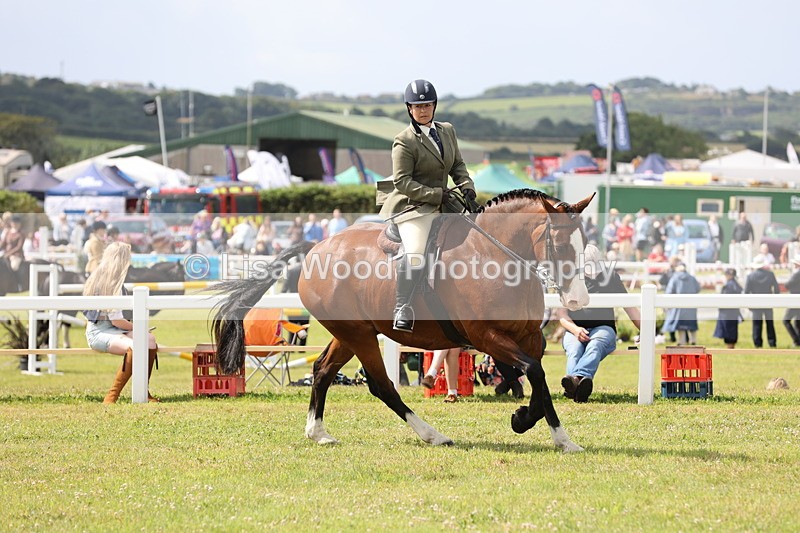 JPP_1287 - Class 17: Cornish Combination Open
