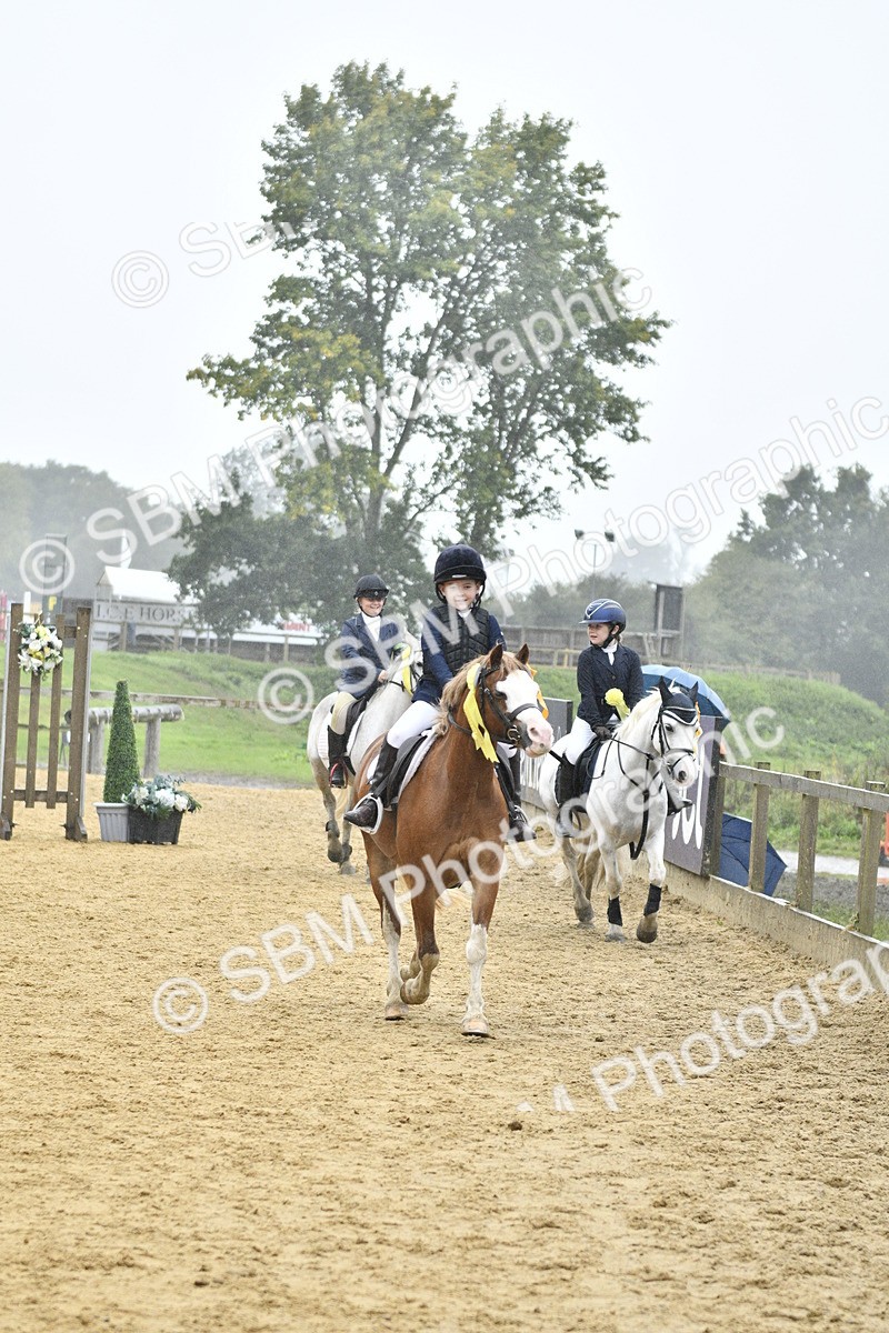 SBM_71055 - J3 - Mini Tour Junior Pony 40cm championship