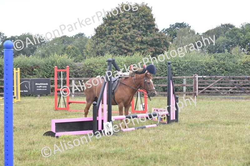 20250831-1854 - Class 9 - Absolute Novice 45cm