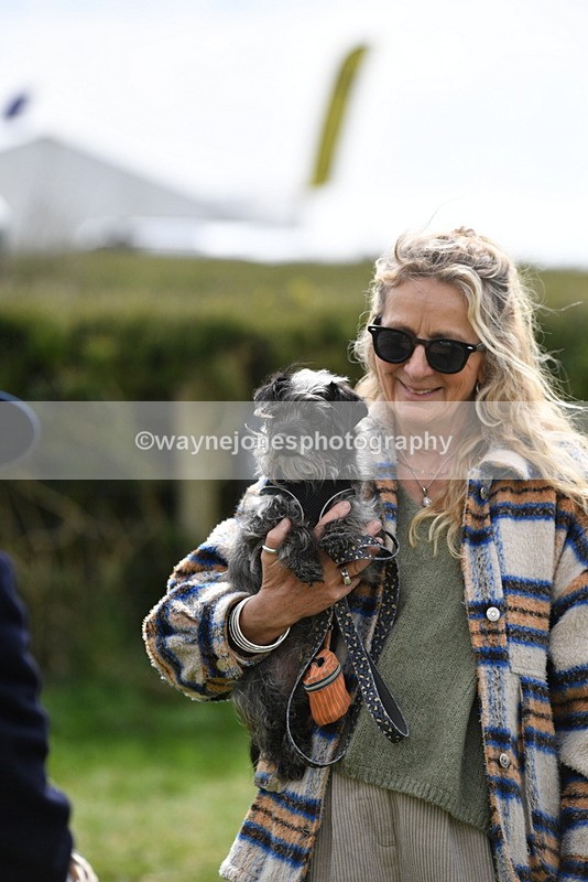 WJ5_9871 - Class 3 Most Handsome Dog