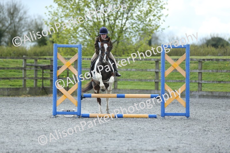 20260412-1727 - Show Jumping