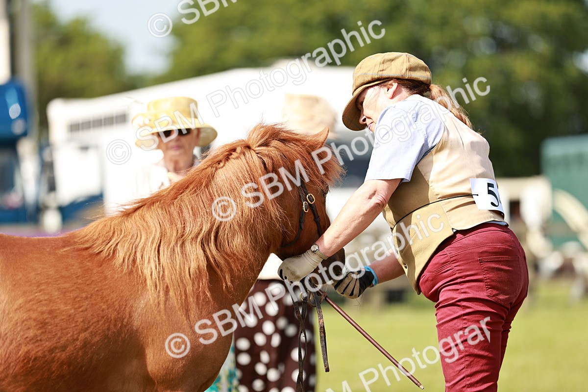 SBM_01761 - Class 14-23 - Mountain & Moorland In Hand Non Welsh