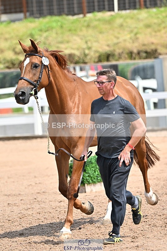 240718A-105318-01831 - Trot Up 1pm to 2pm