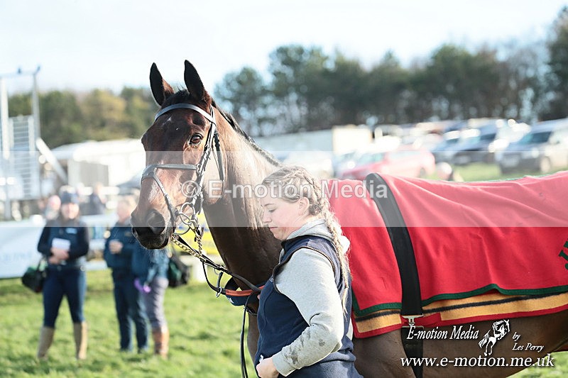 PtP 141225  1947 - New Forest Hounds PtP Larkhill 14/12/25