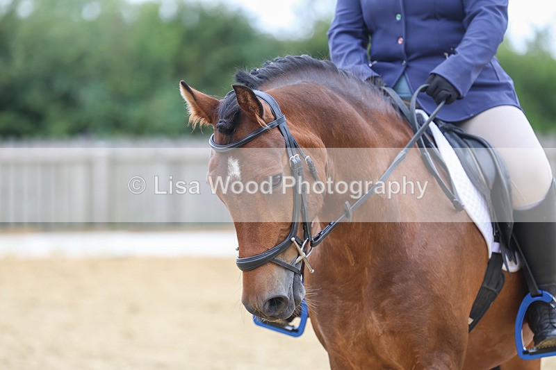 3E7A5158 - Class 2: Intro 4 2024 section B