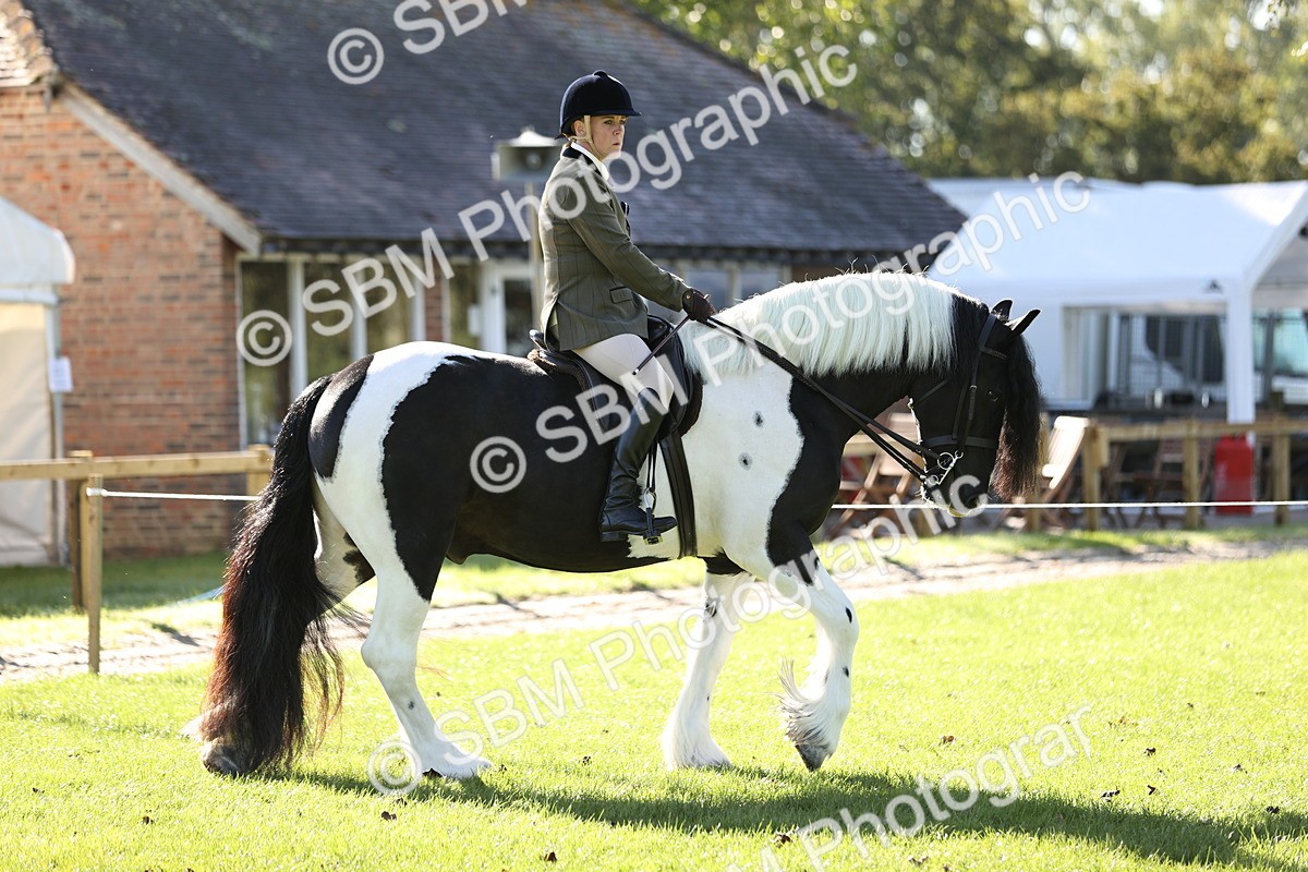 SBM_16862 - S2 - TSR Ridden Pony Showing