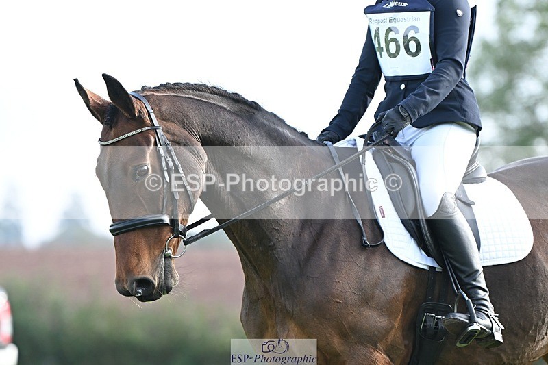 231020-095723-05814 - 466-SPARHANGER.VELVET-Tichy.Sanders-DR