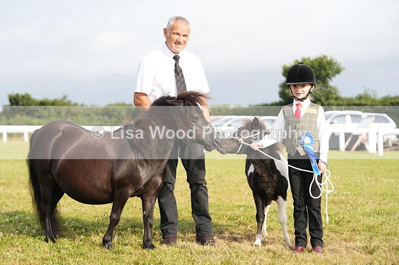 DSC04482 - Classes 44 & 45: NPS M&M Brood Mare and Foal
