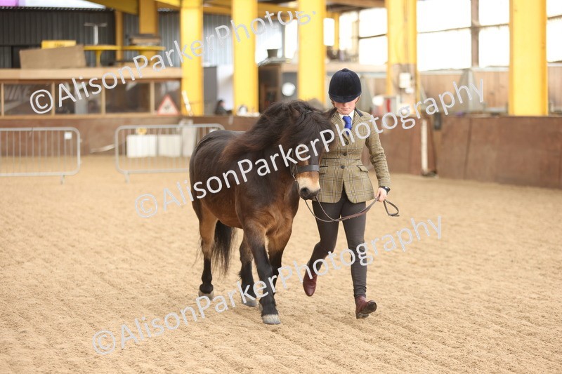 20251109-0629 - Class 22 - Geldings 4 Years and over