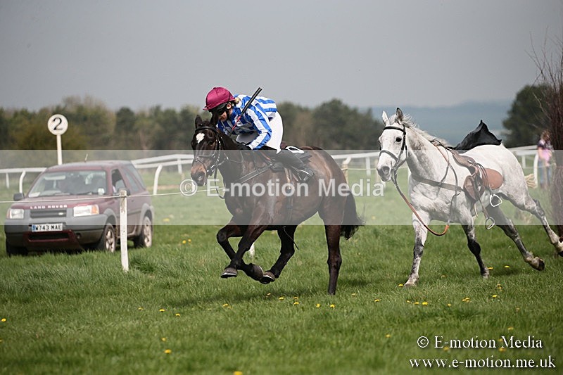 PtP 210418 25 - South & West Wilts Point-to-Point Larkhill 21/04/18