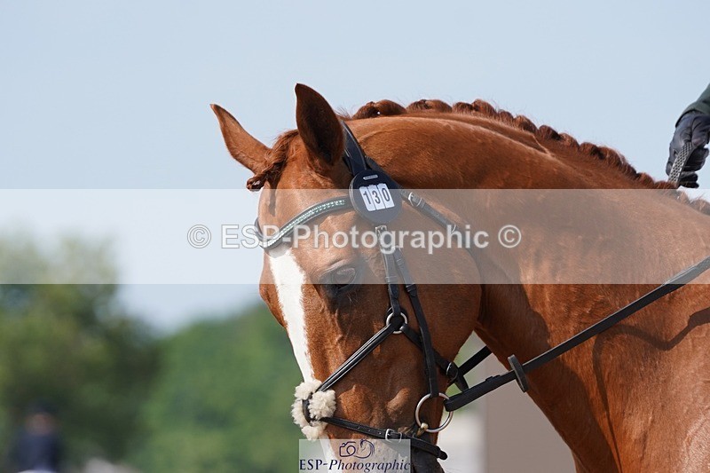 250621-163916-09747 - RoR Cls 4b-4c, Prelim