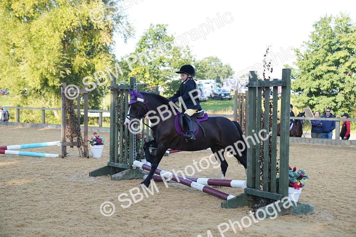 SBM_58988 - J63 - Minis Clear Round 30cm 40cm