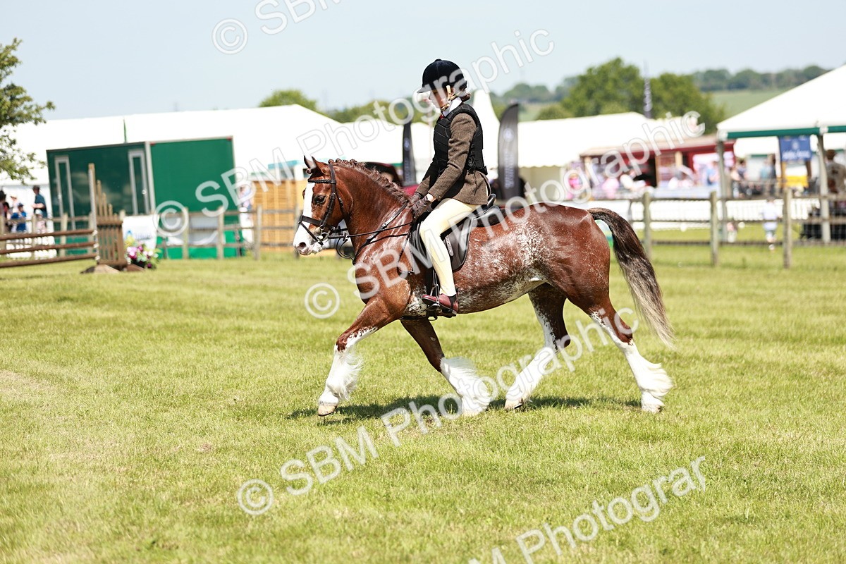 SBM_15531 - Class 108-109 - BSPS LIHS Open Gradle & Nursery Stakes