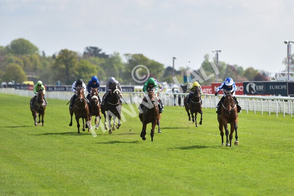 yr13052021r5-21 - Race 5 3.40pm British Stallion Studs EBF Westow Stakes
