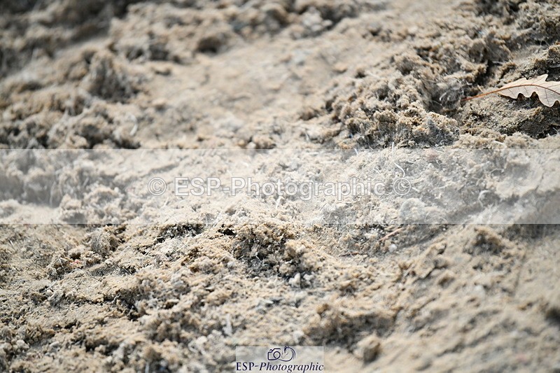 251004A-132004-01223 - Classes 6 & 7 60cm