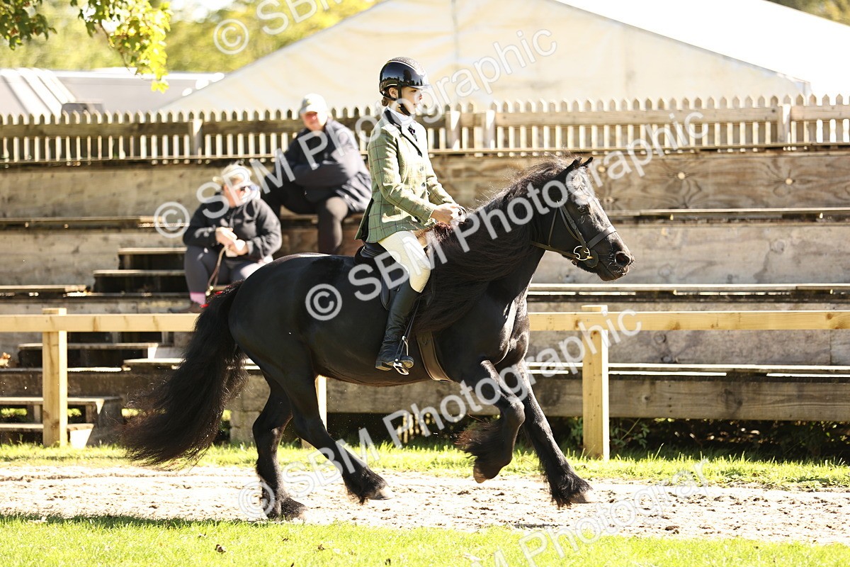 SBM_19143 - S3 - TSR Ridden Pony Showing