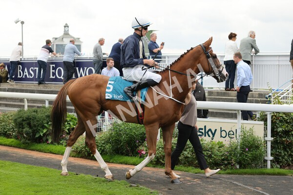 yr04092022r3-14 - Race 3 2.55pm The Elevator Company Garrowby Stakes