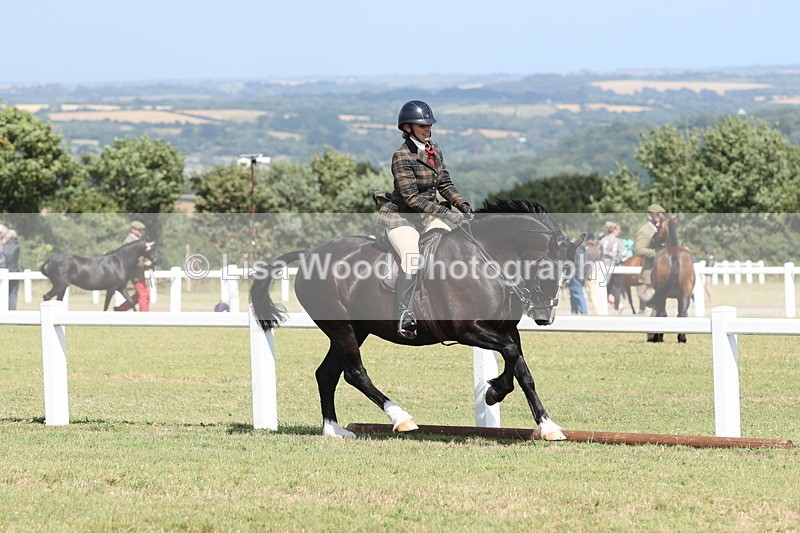 JPP_2287 - Class 19: Working Hunter 60cm