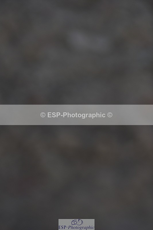 230915A-153158-00819 - Cls 13 1.10m Amateur Qualifier & 1.10m Open